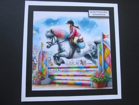 20+ horsing around at gymkhana by BELINDA ABRAHAM