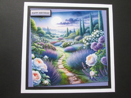 Roses and lavender garden by BELINDA ABRAHAM