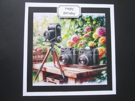 20+  vintage cameras by BELINDA ABRAHAM