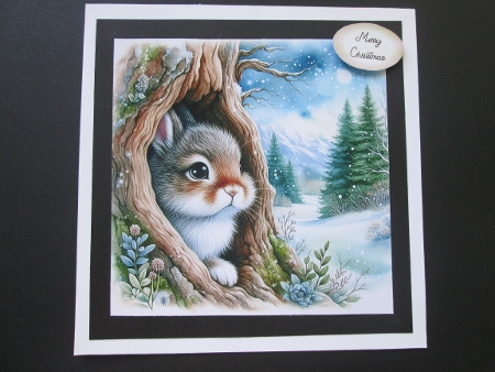20+ wild animals sheltering from the snow by BELINDA ABRAHAM