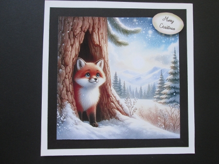 20+ wild animals sheltering from the snow by BELINDA ABRAHAM