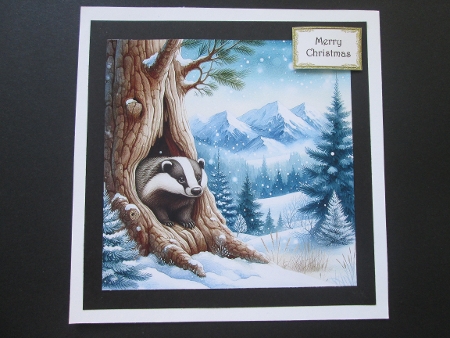 20+ wild animals sheltering from the snow by BELINDA ABRAHAM