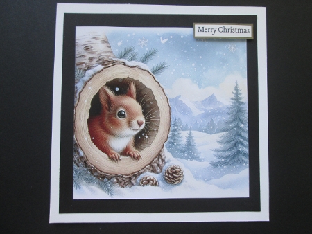 20+ wild animals sheltering from the snow by BELINDA ABRAHAM
