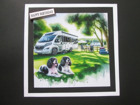 20+ camping dogs by BELINDA ABRAHAM