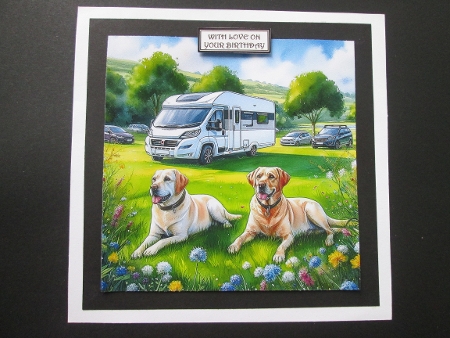 20+ camping dogs by BELINDA ABRAHAM