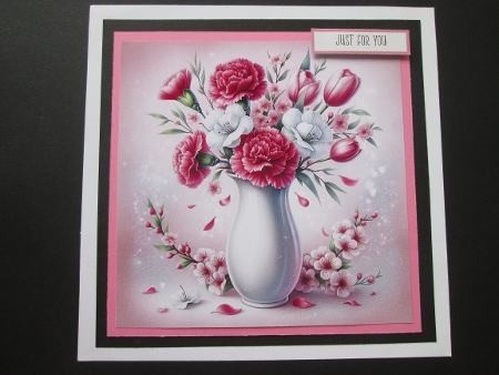 Carnations flowers by BELINDA ABRAHAM