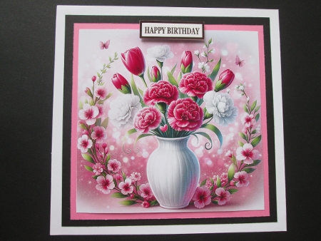 Carnations flowers by BELINDA ABRAHAM