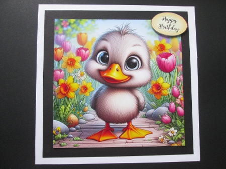 20+simply quackers by BELINDA ABRAHAM