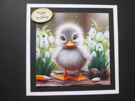 20+simply quackers by BELINDA ABRAHAM