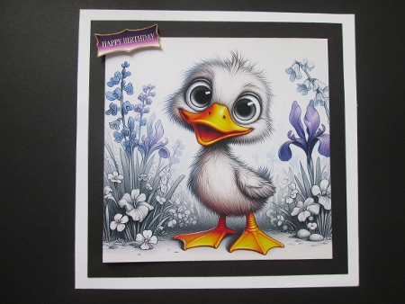 20+simply quackers by BELINDA ABRAHAM