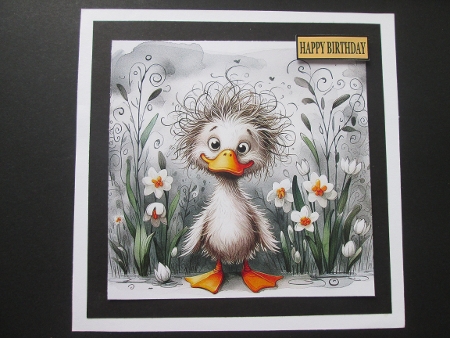 20+simply quackers by BELINDA ABRAHAM