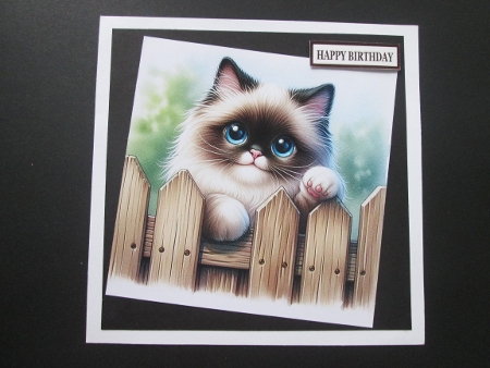 20+ assorted cats at the gate by BELINDA ABRAHAM