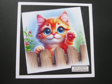 20+ assorted cats at the gate by BELINDA ABRAHAM