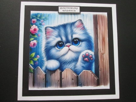 20+ assorted cats at the gate by BELINDA ABRAHAM