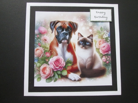 20+ best friends cats and dogs by BELINDA ABRAHAM