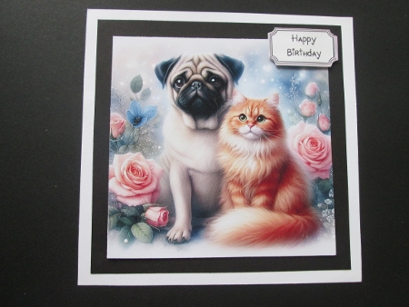20+ best friends cats and dogs by BELINDA ABRAHAM