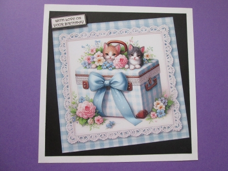 30+ cats on lace by BELINDA ABRAHAM