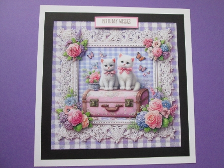 30+ cats on lace by BELINDA ABRAHAM