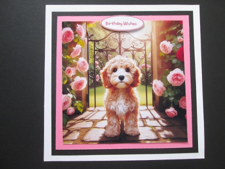 20+dogs at the gate with roses  by BELINDA ABRAHAM