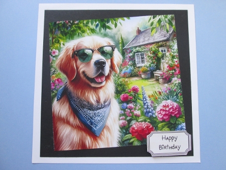 20+ dogs in shades by BELINDA ABRAHAM