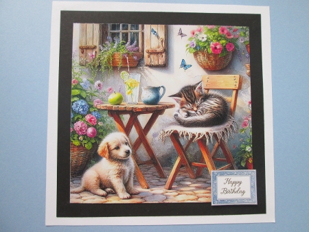 Kitten is Sleeping - Dog wanna Play by BELINDA ABRAHAM