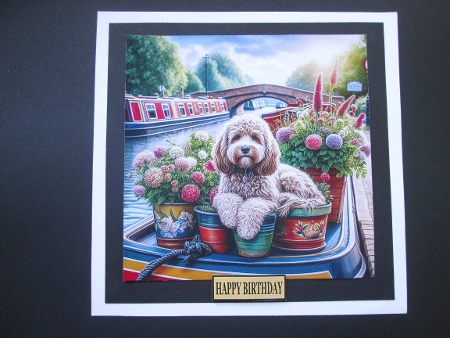 20+ dogs on canal boats by BELINDA ABRAHAM