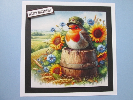 robins in hats  by BELINDA ABRAHAM