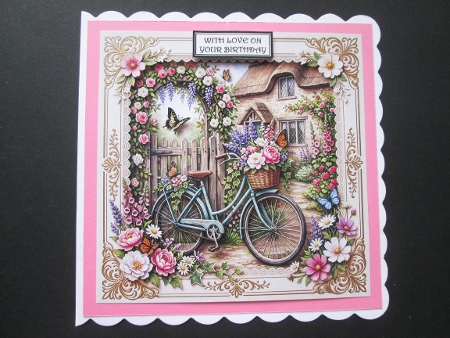 Garden bike  by BELINDA ABRAHAM