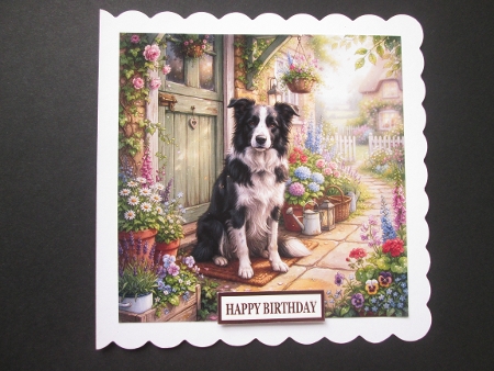 Door  step dogs 3 by BELINDA ABRAHAM