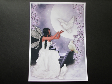 Pretty Fairy, and Doves in Twilight Scene A4 by BELINDA ABRAHAM