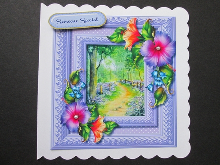 Beautiful Bluebell Woods and Hibiscus  by BELINDA ABRAHAM