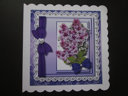Lovely Lilac and Ribbon Bow on Lace  by BELINDA ABRAHAM