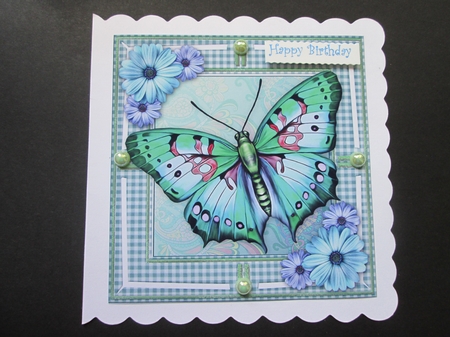 Jumbo Butterfly and Dasies Green 8x8 by BELINDA ABRAHAM
