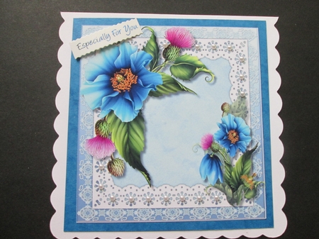 Beautiful Himalayan Poppies on scalloped lace  by BELINDA ABRAHAM