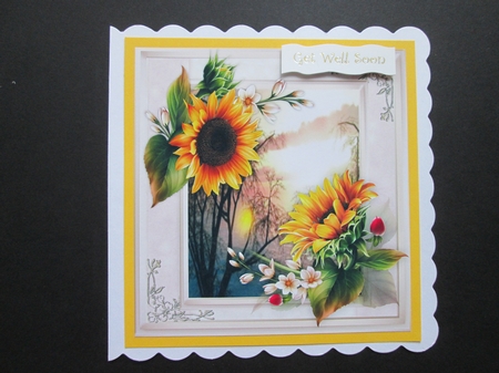 Beautiful Sunflowers at Sunset  by BELINDA ABRAHAM