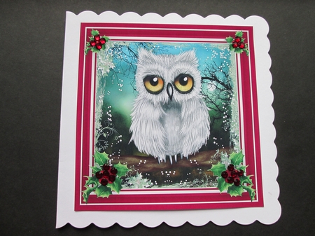 Lovely Christmas Owl on a Branch by BELINDA ABRAHAM