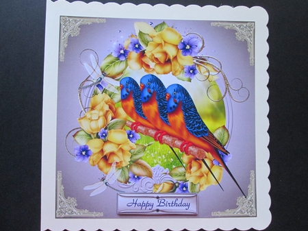 Budgie Brigade by BELINDA ABRAHAM