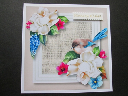 Les Jardin - Fairy Wren 8x8 by BELINDA ABRAHAM