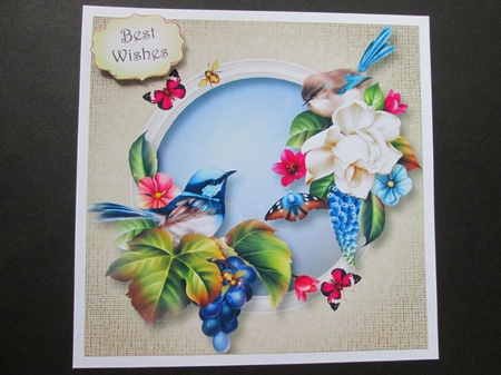 The Fairy Wren Family 8x8 by BELINDA ABRAHAM