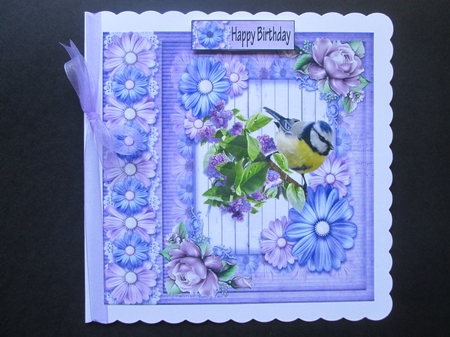 Pretty Bird 2 by BELINDA ABRAHAM