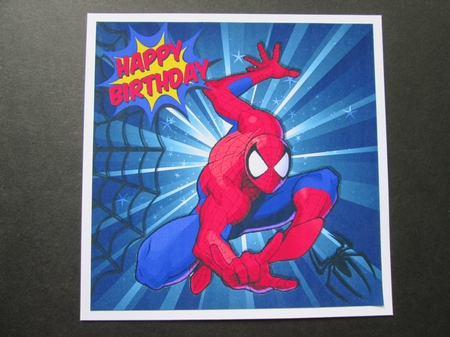 Spider hero with web 8x8 by BELINDA ABRAHAM