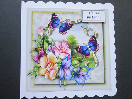 Lovely Rosy-glo roses and butterflys  by BELINDA ABRAHAM
