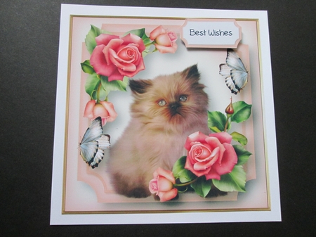 Kitten, Roses & Flutters 8x8 by BELINDA ABRAHAM