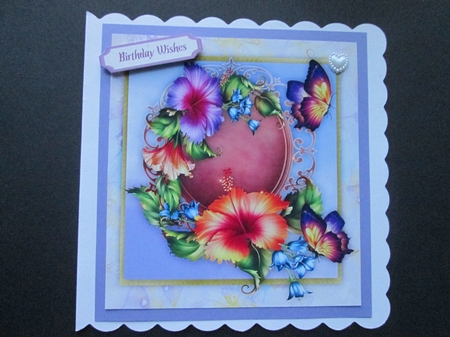 Beautiful Hibiscus and Lilac Butterflys by BELINDA ABRAHAM
