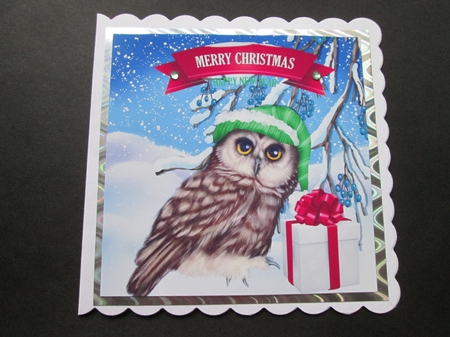 Lovely Owl in wooly hat in snow scene 8x8 by BELINDA ABRAHAM