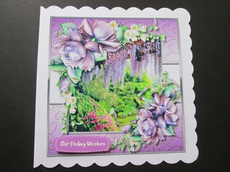 Beautiful Jasmine and Porcelain Roses  by BELINDA ABRAHAM