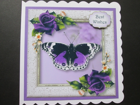 The Purple Butterfly 8x8 by BELINDA ABRAHAM