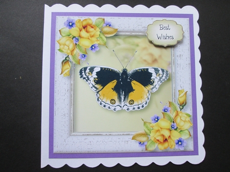 The Yellow Butterfly 8x8 by BELINDA ABRAHAM