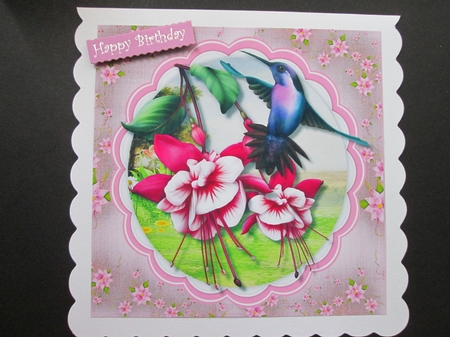 Beautiful Fushia and Humming Bird  by BELINDA ABRAHAM