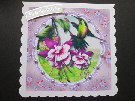 Beautiful Lilac Fushia and Humming Bird  by BELINDA ABRAHAM